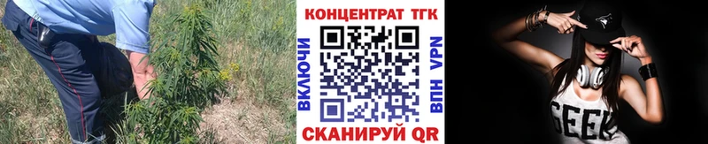 Купить где  Магас  ТГК вейп с тгк 