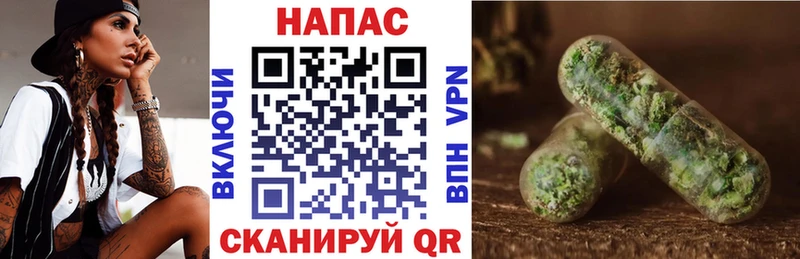 Марихуана гибрид  Купить где  Магас 